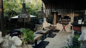 An outdoor patio area with tables and chairs, a bar counter, hanging lights, and tropical plants.