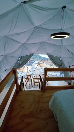 واي فاي مجانًا