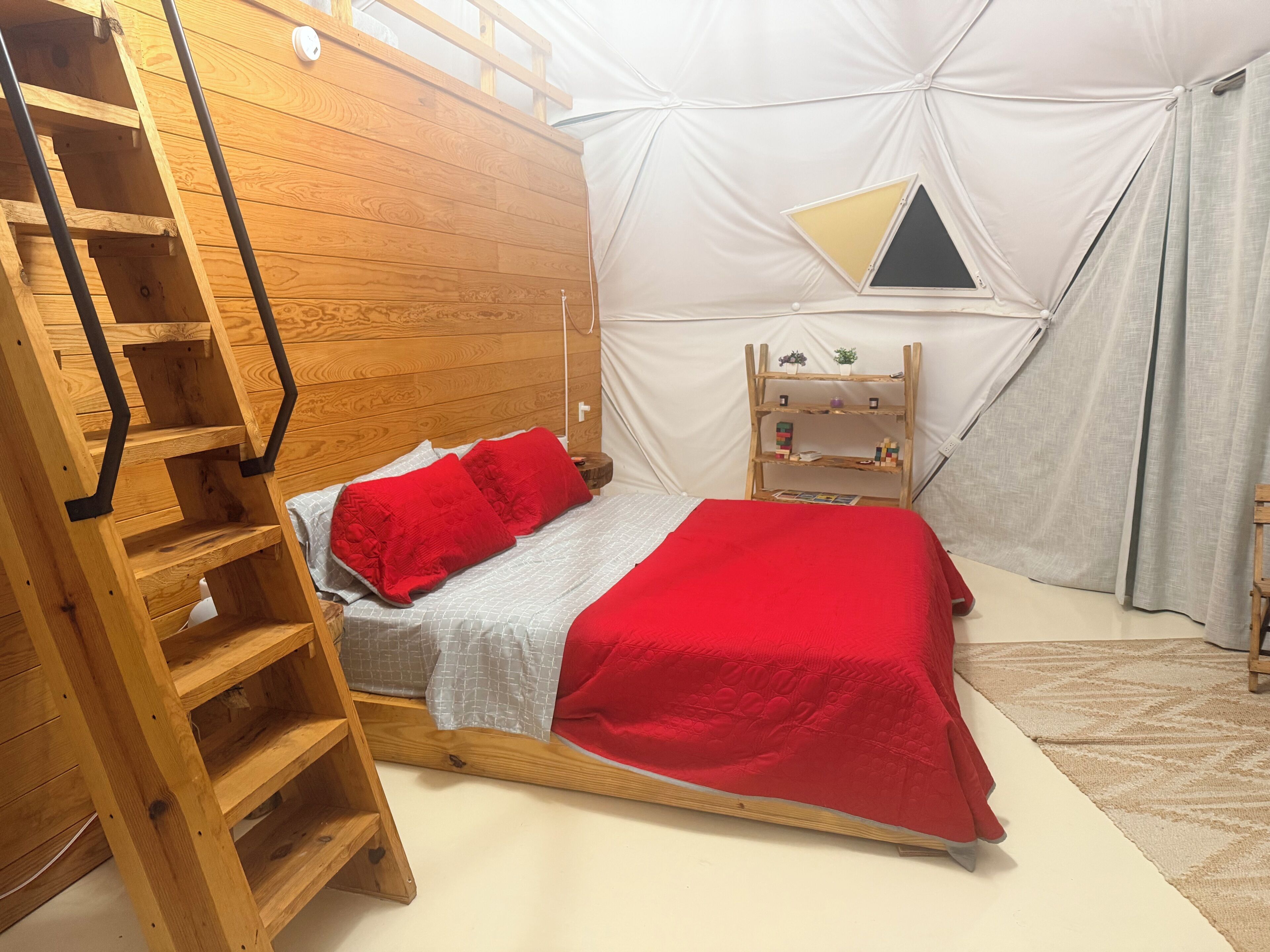 Quarto com beliche, escada, pequena prateleira com plantas e janela.