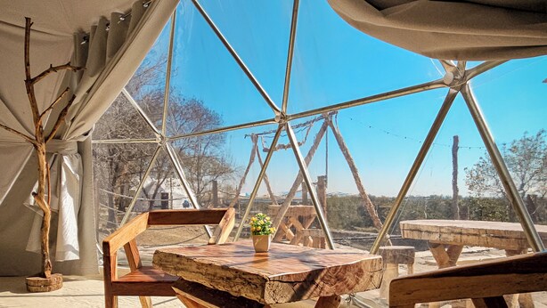 Una carpa con una mesa de madera y sillas, una planta en maceta, y una vista de árboles y un edificio al fondo.