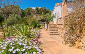 Property grounds - Sa Caseta de Portocolom (Felanitx)