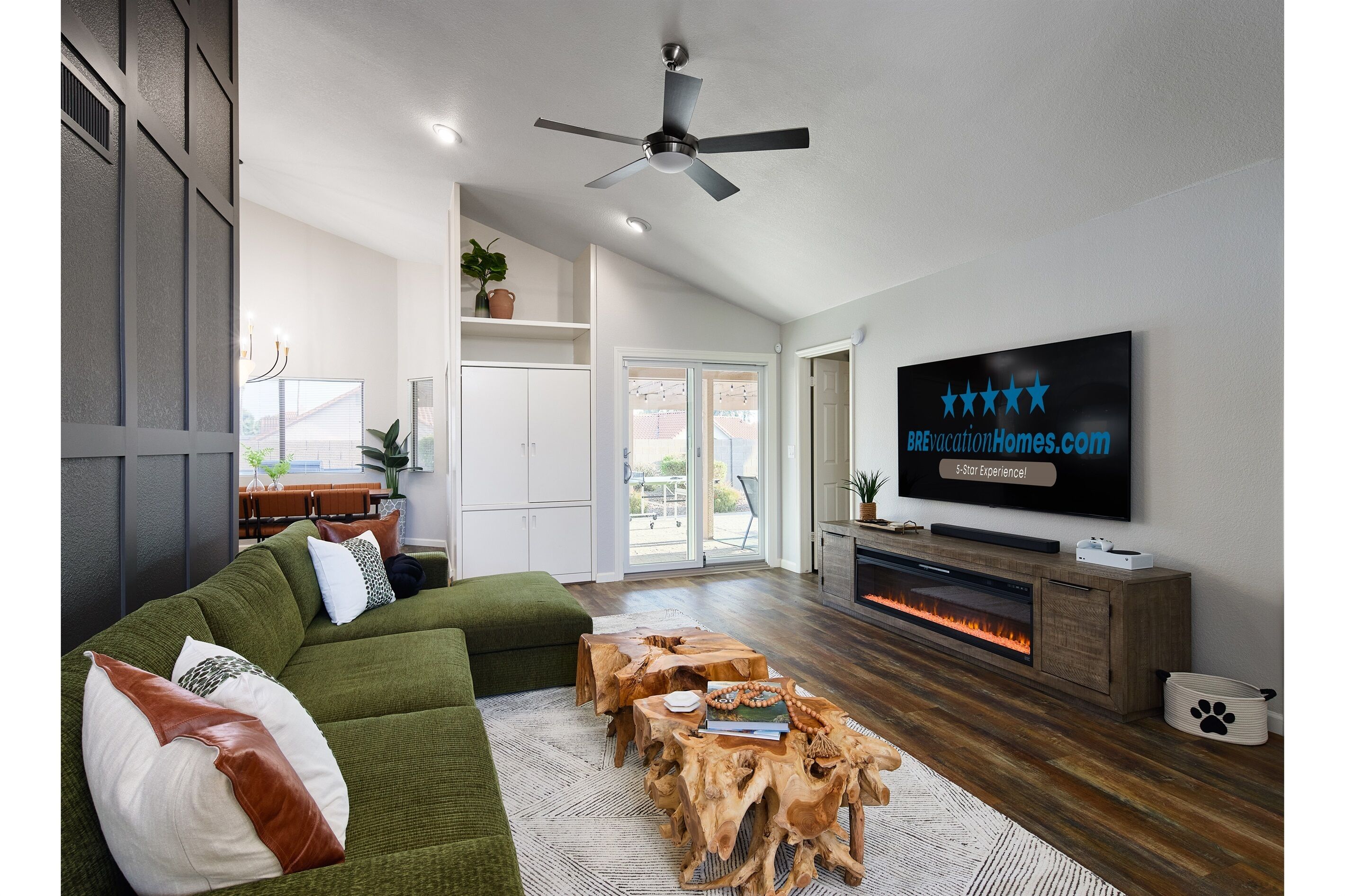 Smart TV, fireplace, video games, books