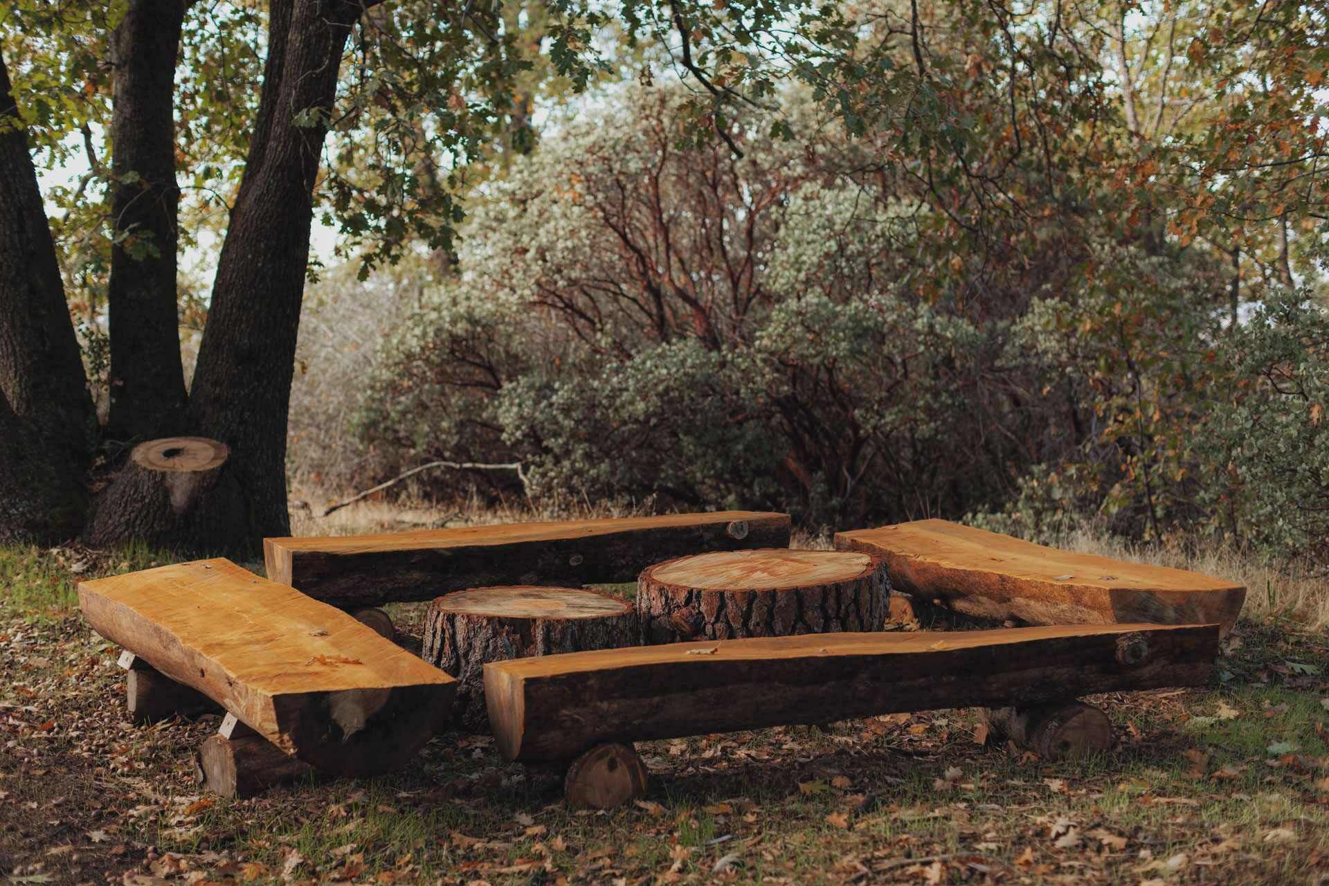 Un espacio al aire libre rústico con bancos hechos de troncos de árbol.