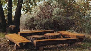 Un espacio al aire libre rústico con bancos hechos de troncos de árbol.