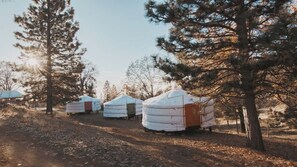 Exterior - Cosy yurt at a nature retreat (Dunlap)