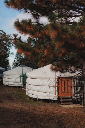 Exterior - Cosy yurt at a nature retreat (Dunlap)