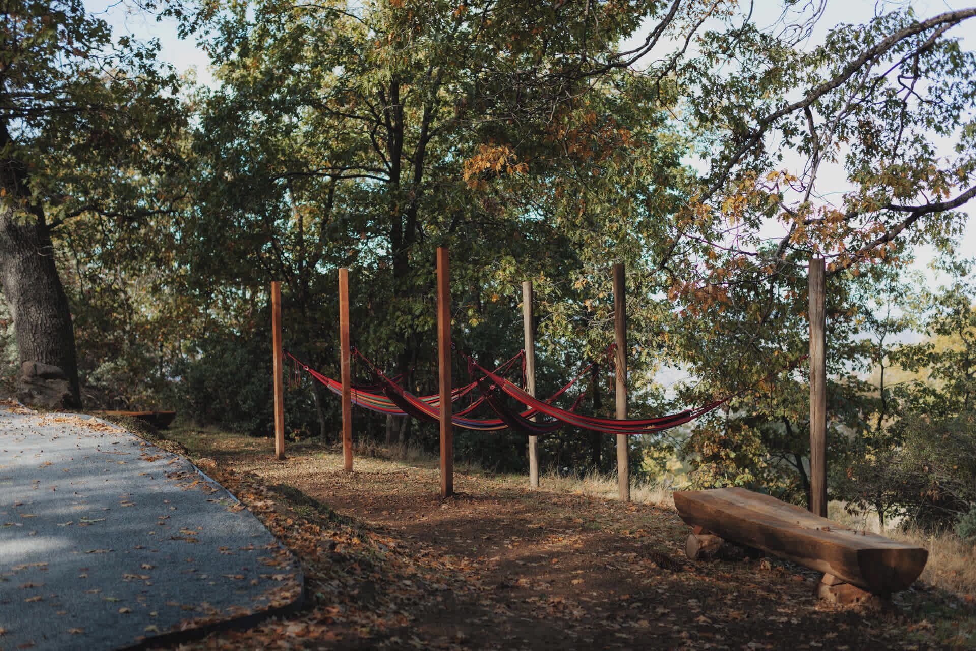 A hammock suspended between wooden poles in a wooded area with a paved path and a log on the ground.