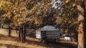 En yurts med overdækket indgang, omgivet af træer og græs.