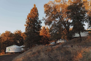 Miscellaneous - Cosy yurt at a nature retreat in Sequoia Forest (Dunlap)