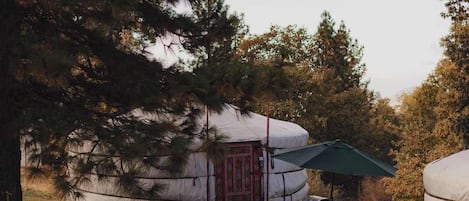 A yurt with a red door, a picnic table, and a green umbrella in a grassy area with trees.