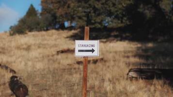 A signpost with the word "STARGAZING" and an arrow pointing to the right.