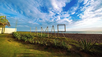 A beach with a clear sky, a palm tree, and a grassy area with plants.