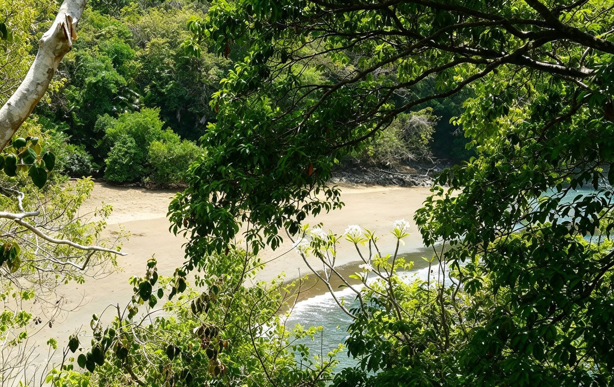 A beach with dense foliage in the foreground and a sandy shoreline.