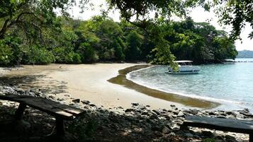 A beach with a boat, surrounded by dense foliage and a wooden bench.