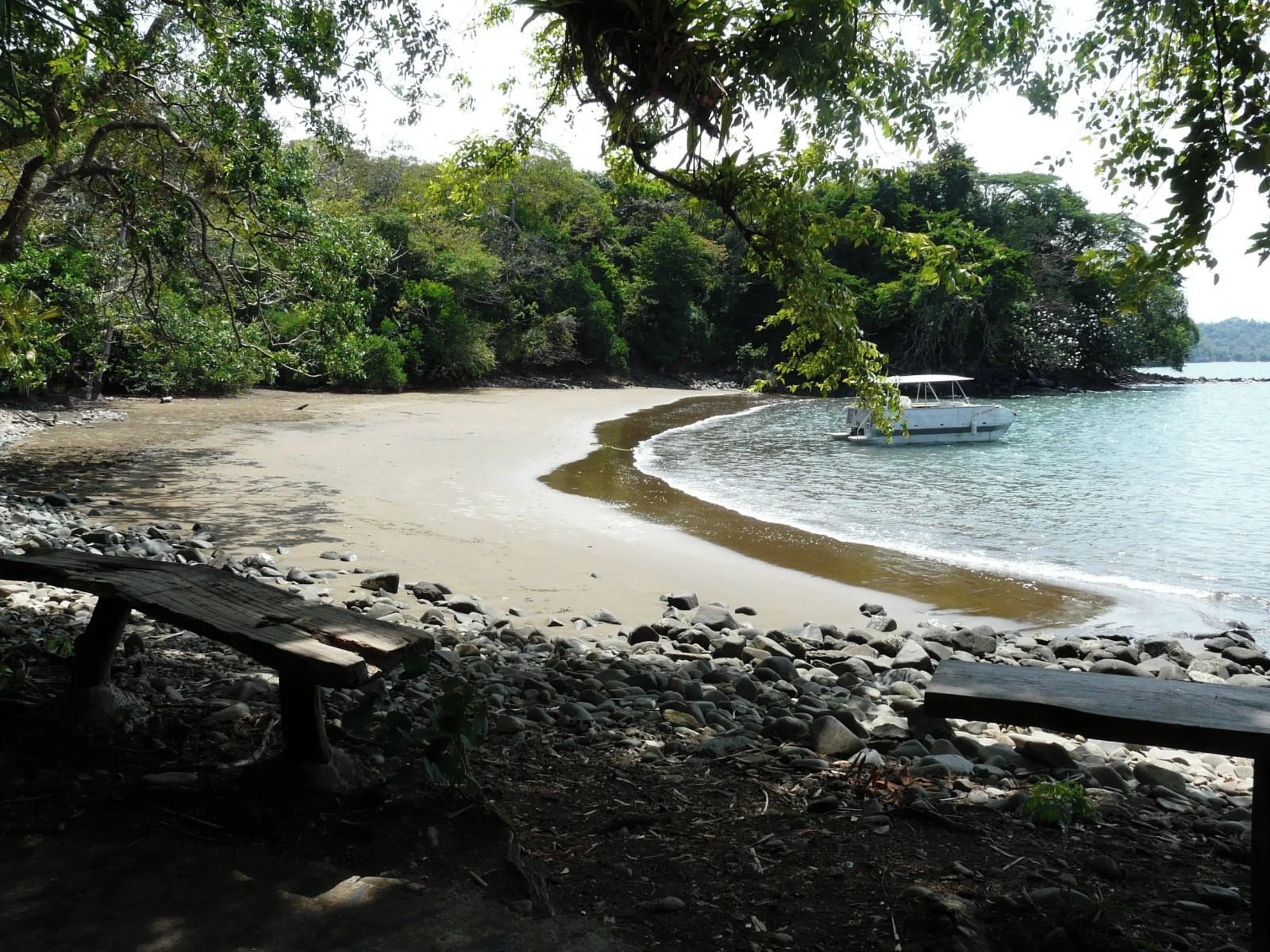 Une plage avec un bateau, entourée d’une végétation luxuriante.