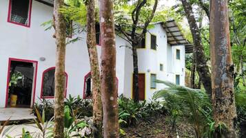 Un bâtiment blanc orné de bordures rouges et doté de nombreuses fenêtres, entouré d’une végétation tropicale luxuriante.