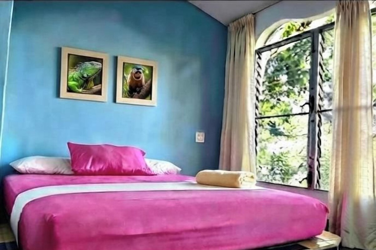 Doble Económica, Baño privado, Ventilador y Vista al Mar | WiFi (free), bed sheets