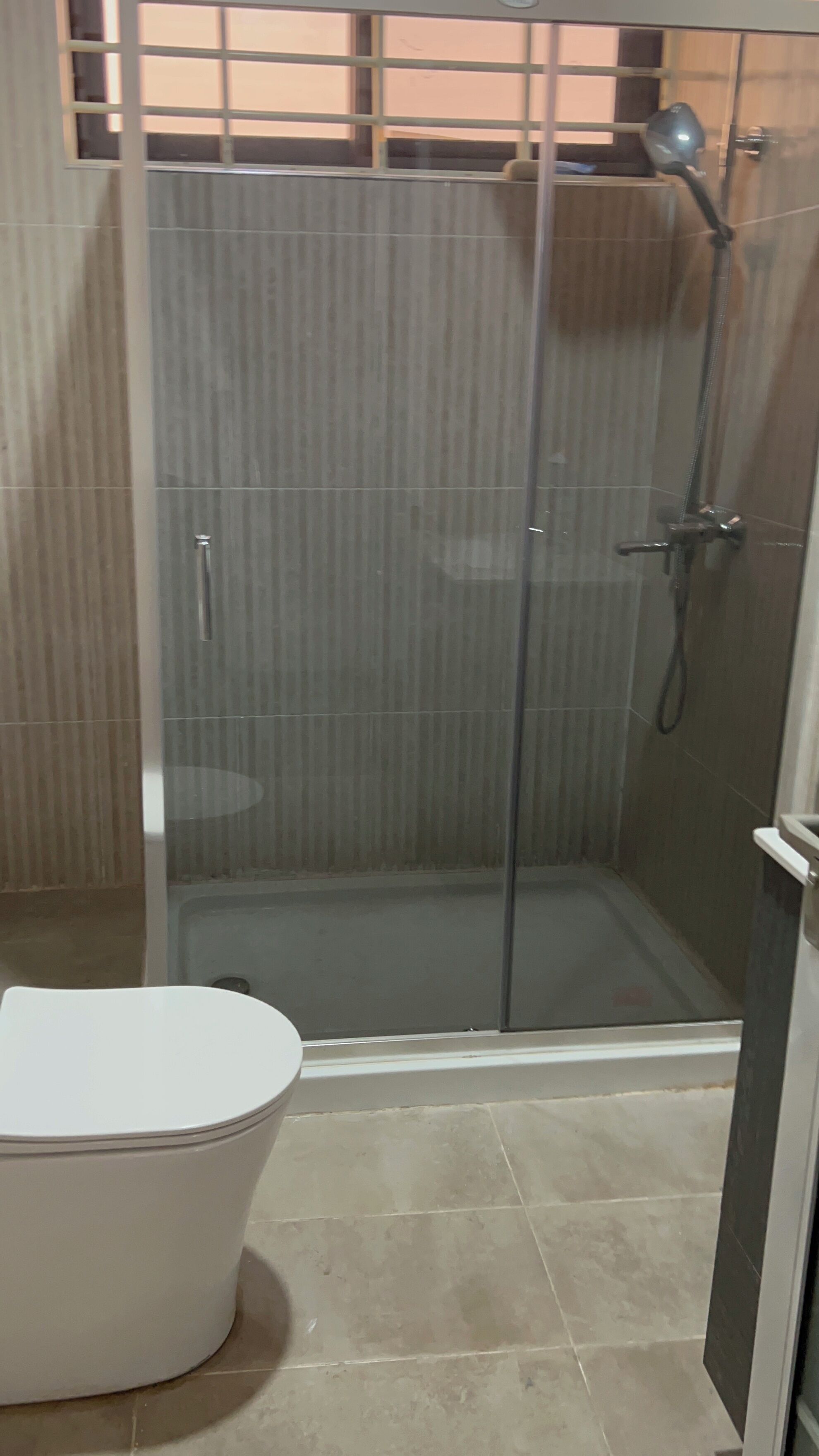 A glass-enclosed shower stall with a handheld showerhead, a white toilet, and a tiled floor.