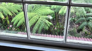 Ein Fenster mit Blick auf dichte, grüne Farne und ein Gebäude im Hintergrund.