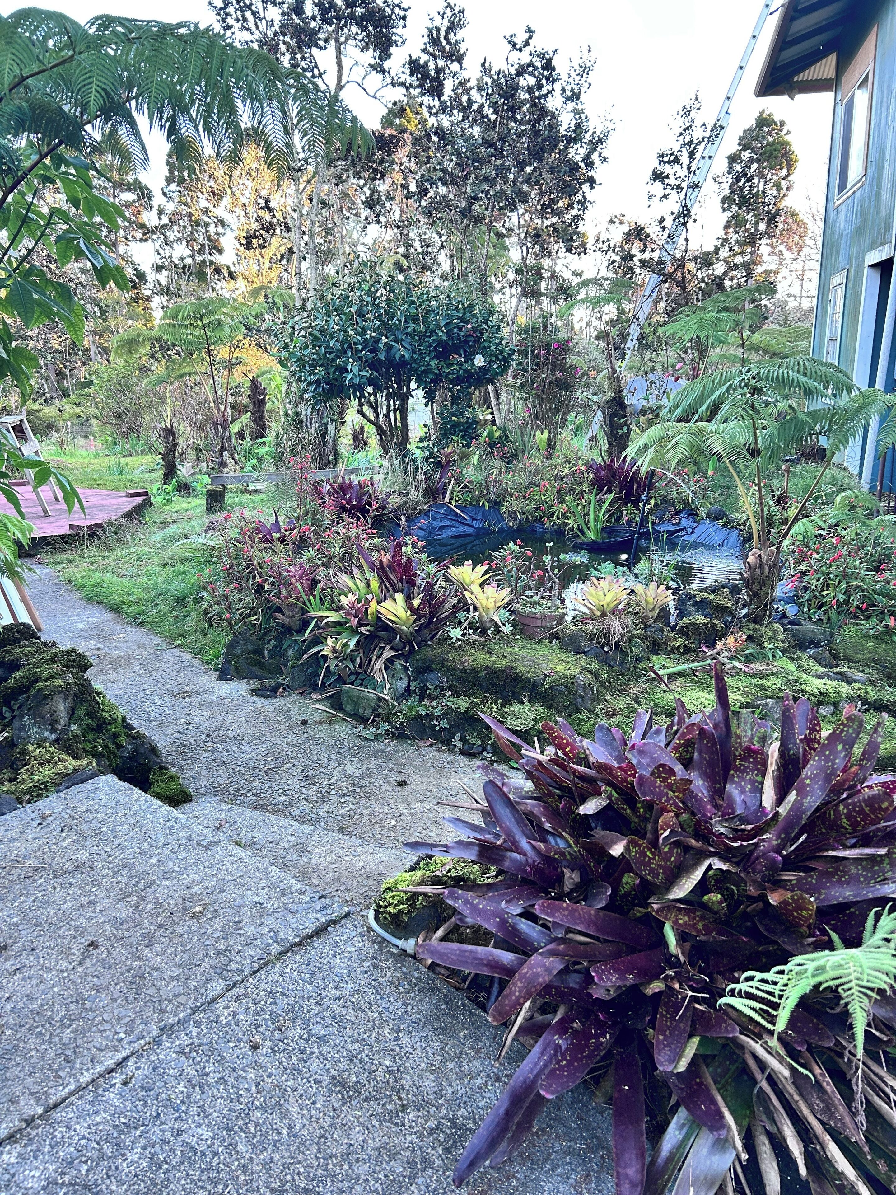 Áreas de la propiedad