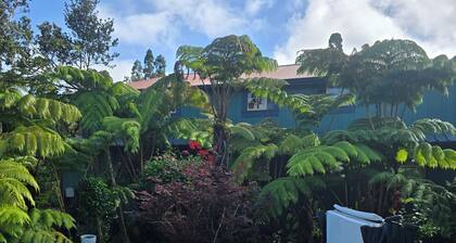 Pali’uli Estate has an old Hawaiian country feel in a tropical rain forest.