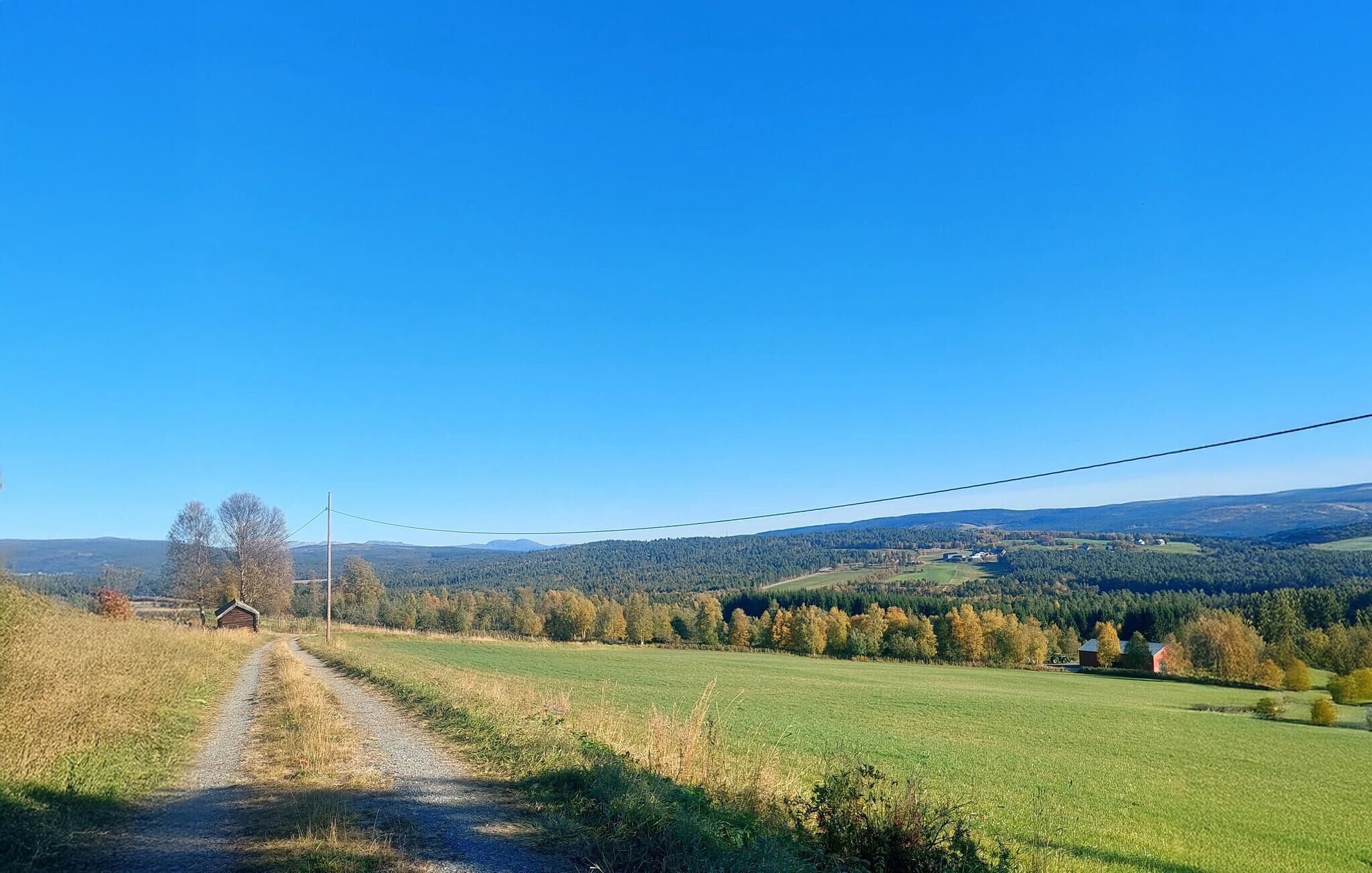 Paisaje rural con un camino de grava que lleva a una pequeña construcción de madera, rodeado de campos y árboles bajo un cielo azul despejado.