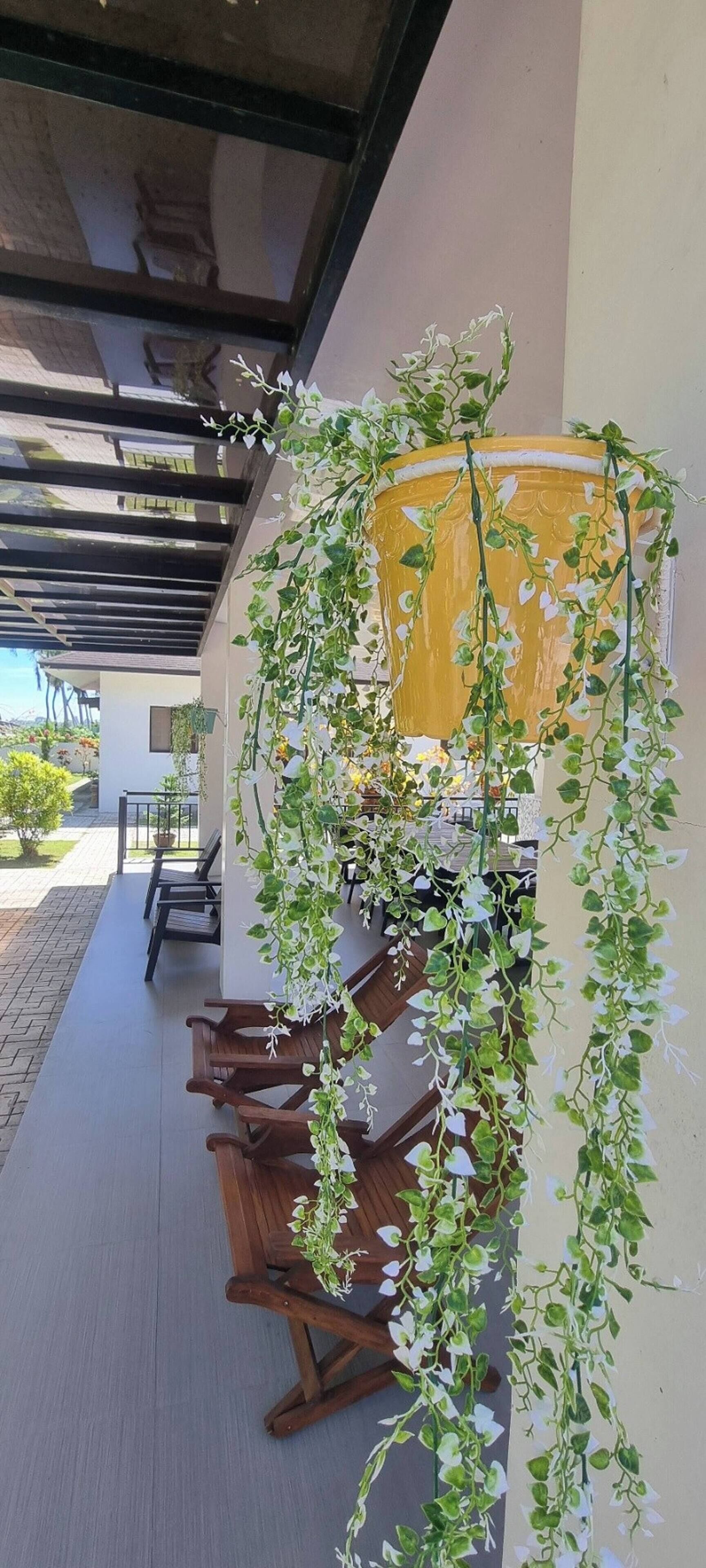 Bungalow, 2 Bedrooms, Accessible, Smoking | Terrace/patio