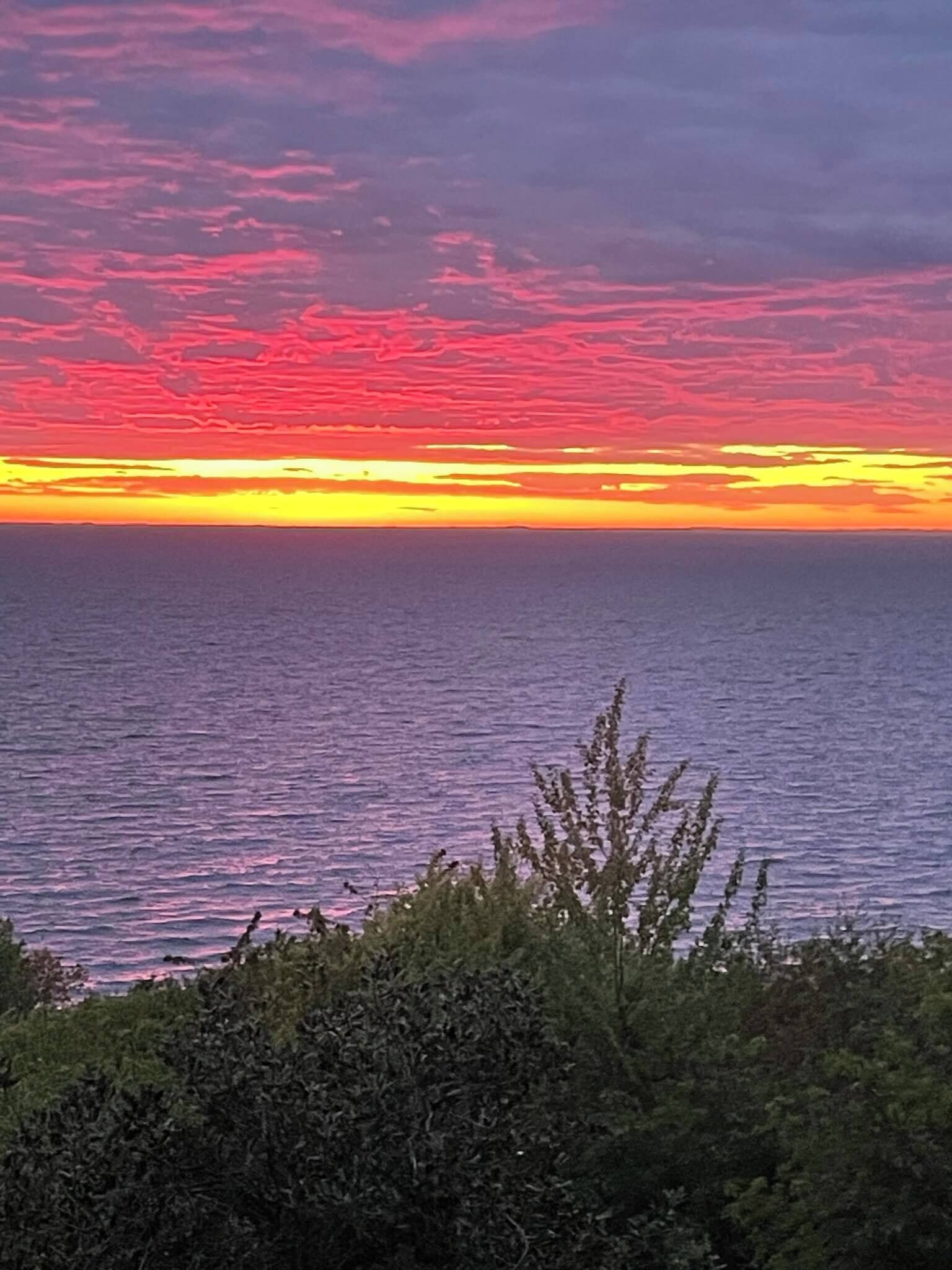 A sunset over the ocean with a view of the sea and vegetation in the foreground.