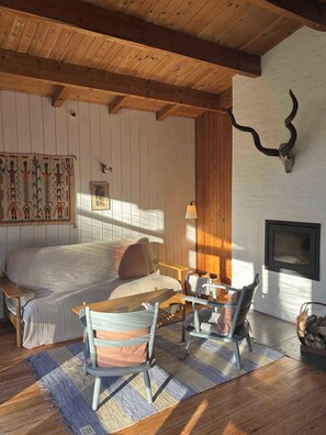 TV, fireplace - Idyllic wooden cabin with fireplace near Tisvilde (Frederiksværk)