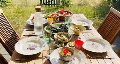 Bright modern holiday home near beach and forest