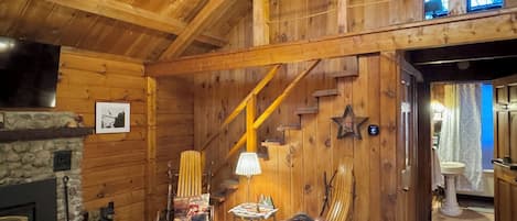 Smart TV, fireplace, books