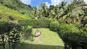 A lush garden with a variety of tropical plants and a large rock centerpiece. - Luna's Home Raiatea (Tumaraa)