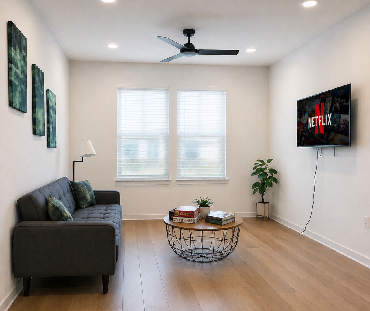 TV