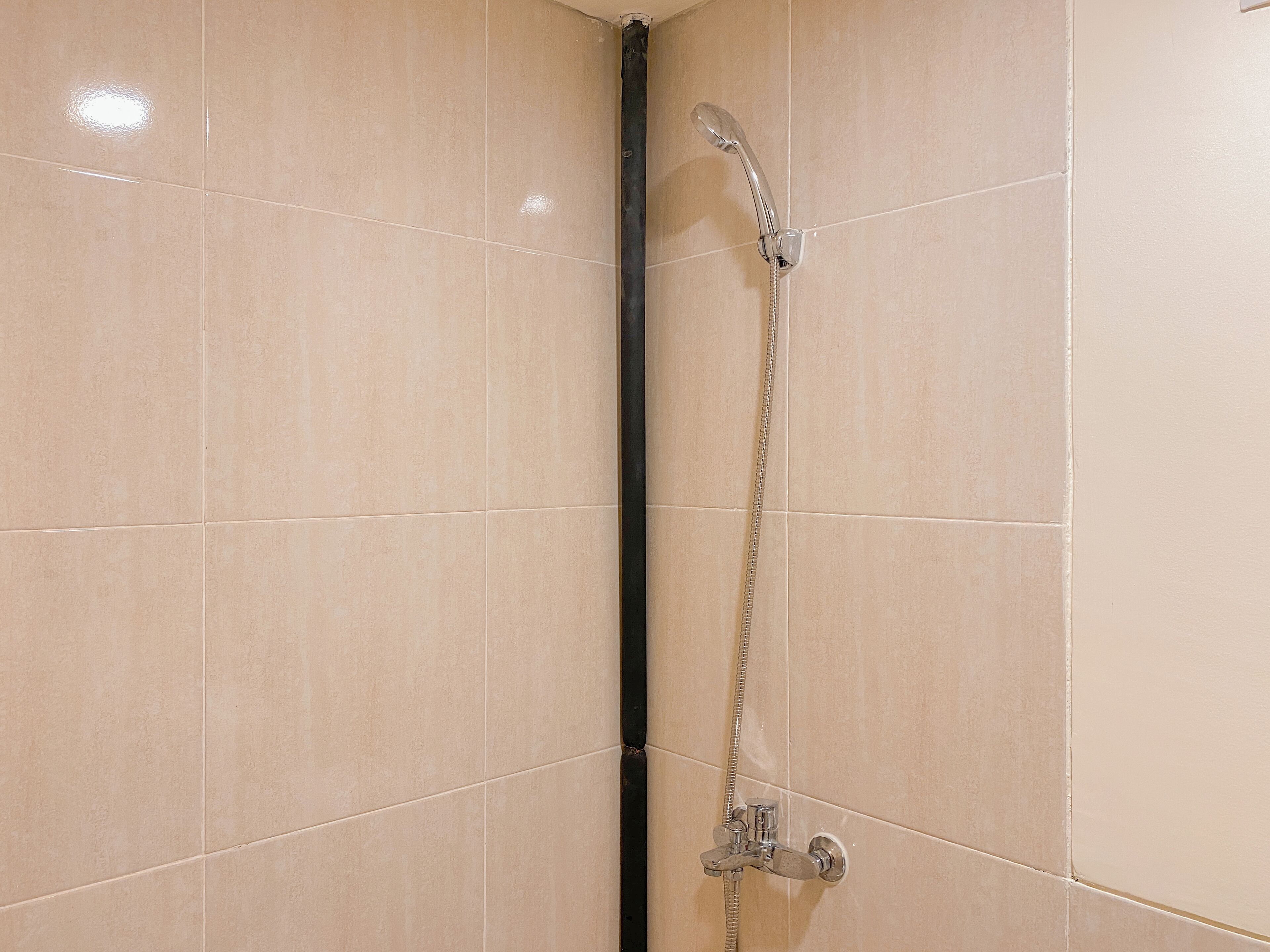 Apartamento estándar, 2 habitaciones | Baño