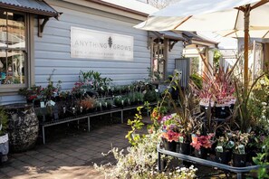 A storefront with a sign reading 'ANYTHING GROWS CAFE BOUTIQUE NURSERY GIFT SHOP'. - Coorabin | Pet-Friendly 4BR near Orange CBD (Orange)