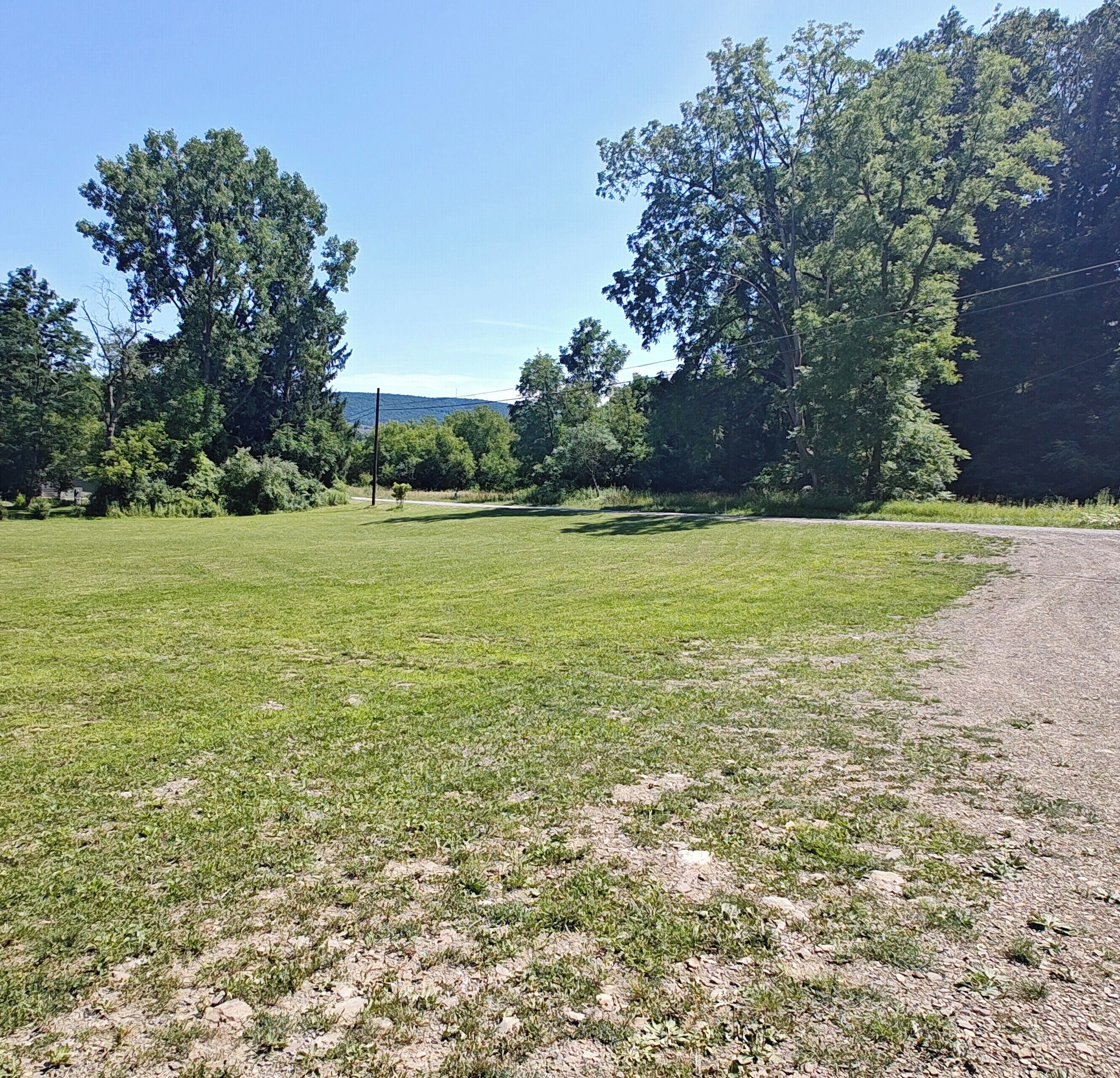 Un champ herbeux avec des arbres et un sentier de terre.