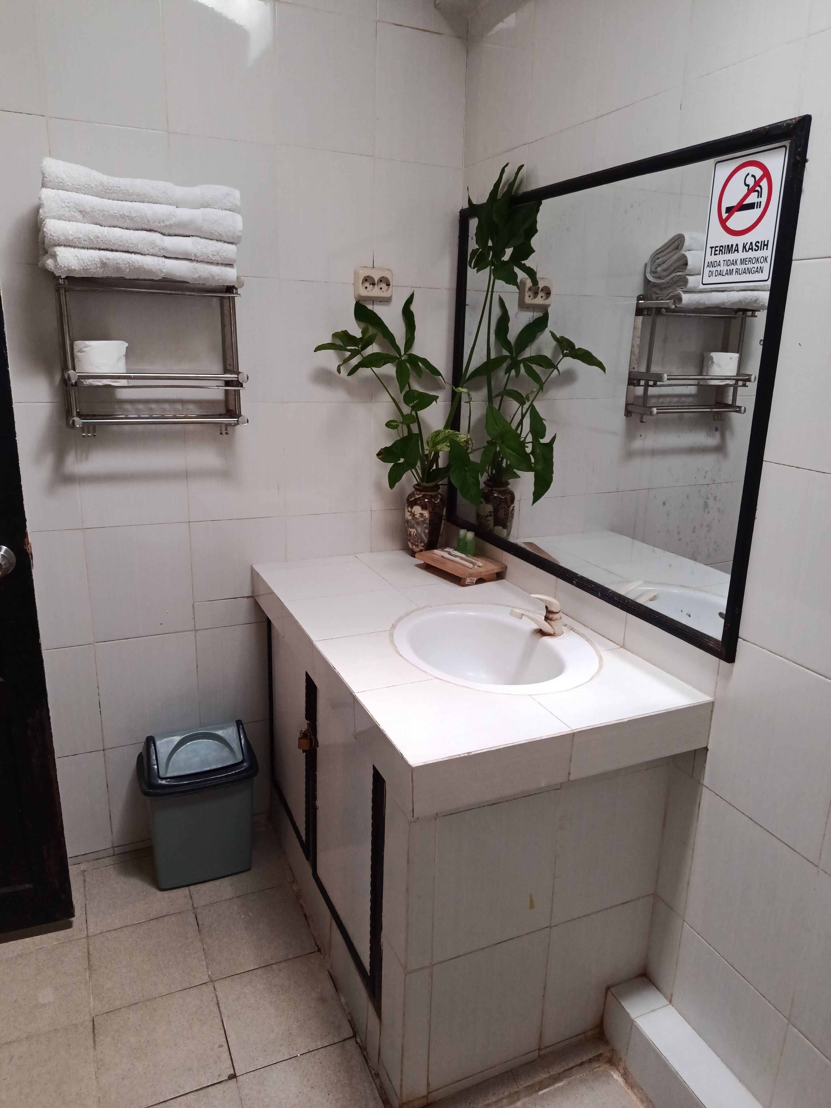 Un baño con lavamanos blanco, un espejo, un perchero para toallas, un cesto de basura y una planta en maceta.