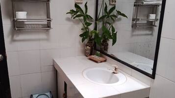 Un baño con lavamanos blanco, un espejo, un perchero para toallas, un cesto de basura y una planta en maceta.