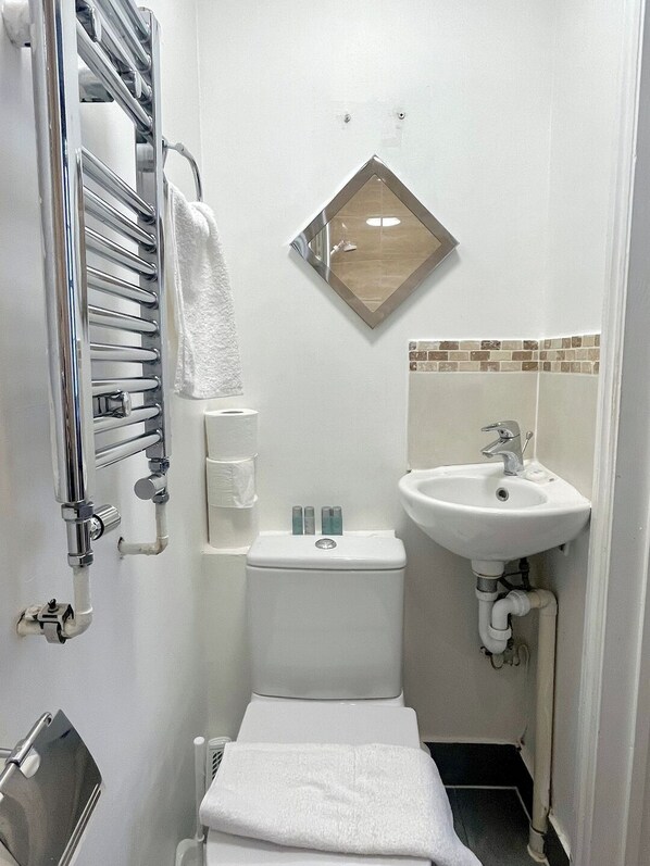 Un bany petit amb vàter, un lavabo, una barra de tovalloles i un mirall.