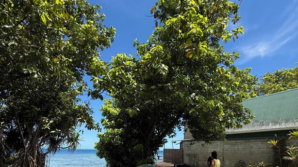 Un espacio al aire libre con césped, una mesa de picnic, una persona de pie y vistas al mar.