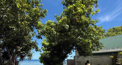 Plage privée - Vahine Ori Lodge