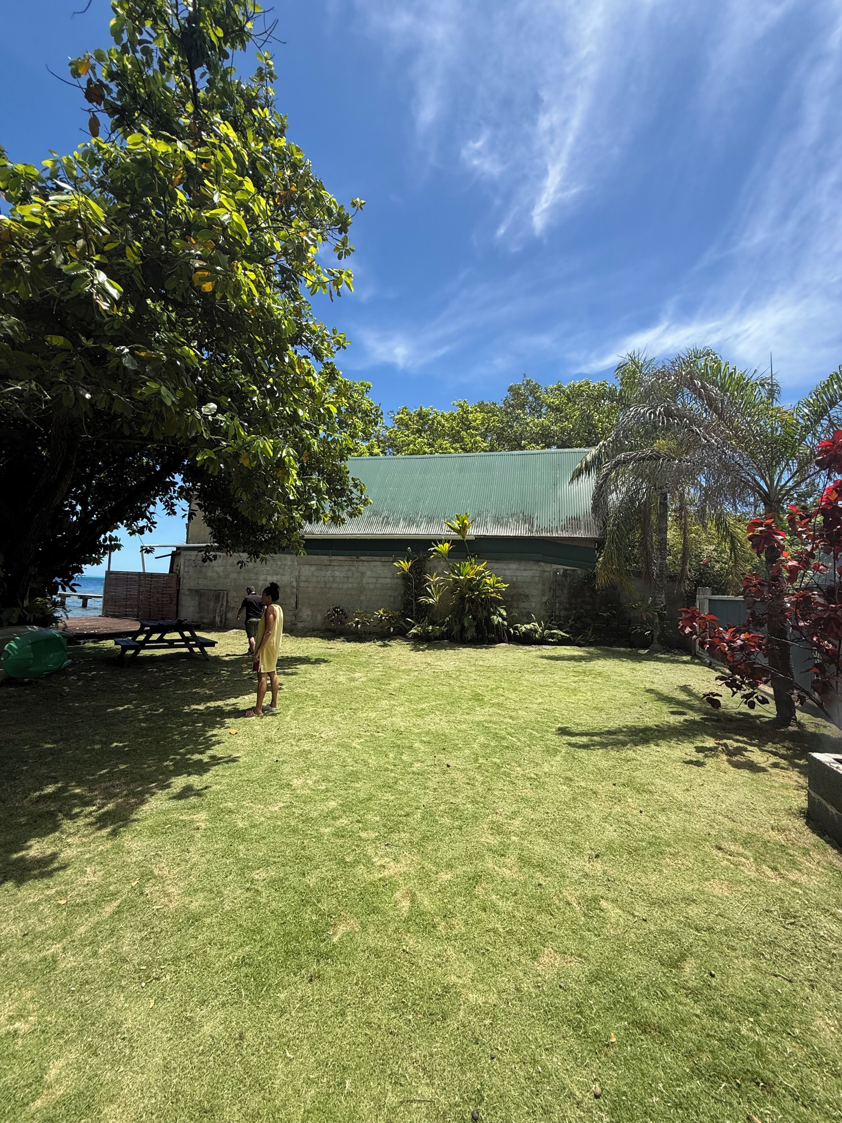 A backyard with a grassy lawn, a picnic table, and a building with a green roof.