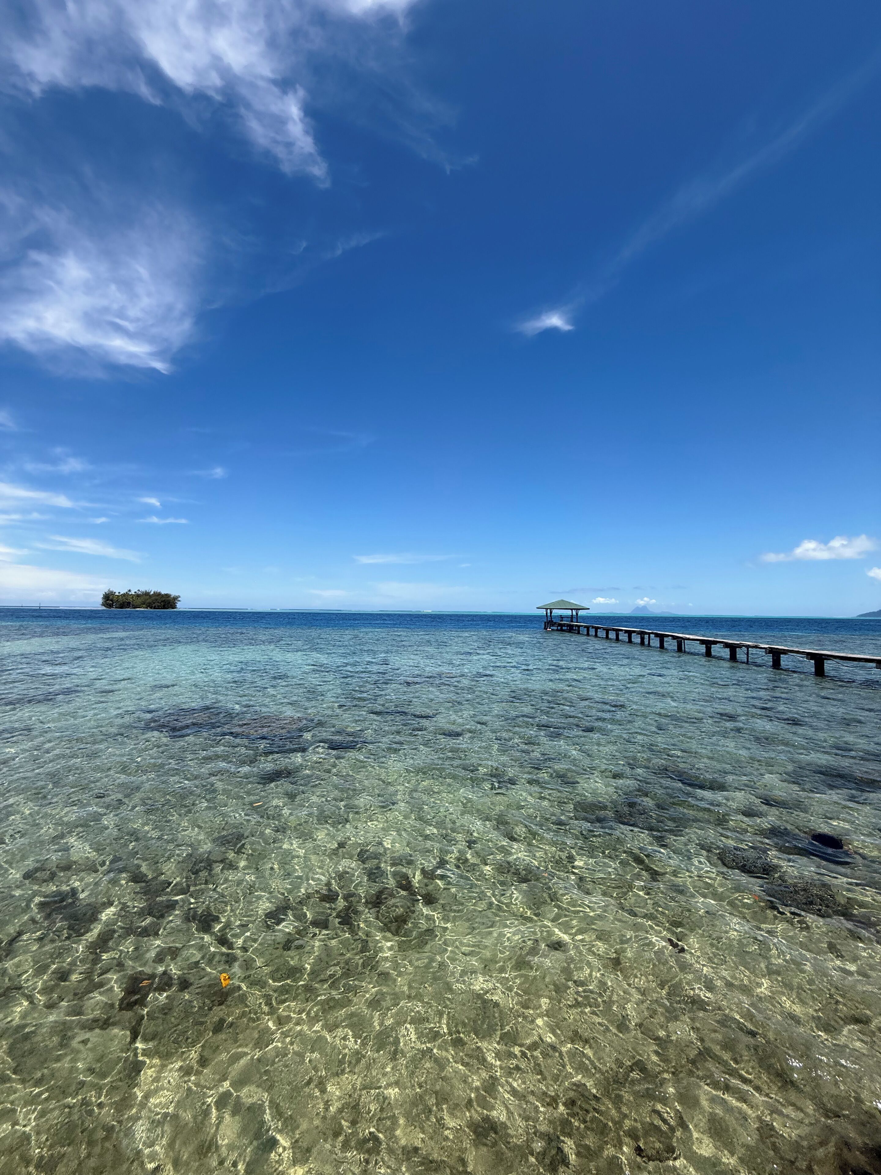 On peut clairement voir une plage avec une jetée qui s’avance dans l’eau, une petite île au loin et un ciel bleu dégagé.