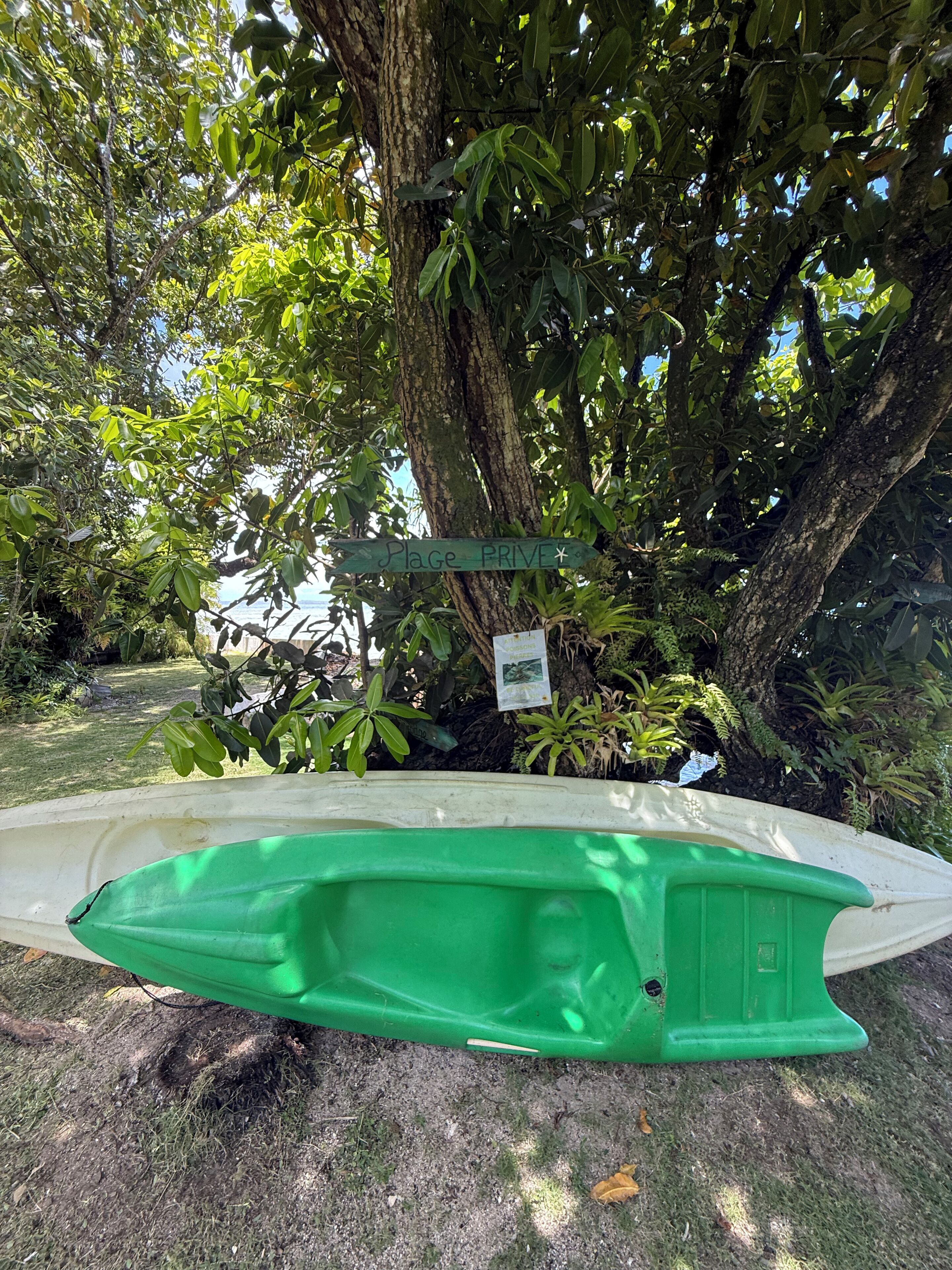 Un kayak verde bajo un árbol, con un cartel que dice "Plage PRIVE".