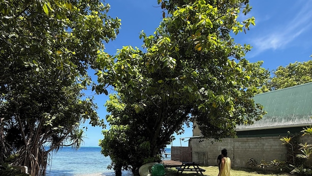 Un espace extérieur verdoyant avec une table de pique-nique, une personne debout et une vue sur la mer.