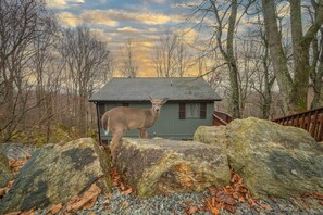 Property grounds - HotTub | Game Room | Close 2 Slopes | Pets OK (Banner Elk)