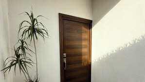 Une entrée moderne avec une porte en bois, une plante en pot et un paillasson à motifs.