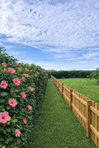 Private Cottage on Gated Estate + 5 Minute Walk to the Beach