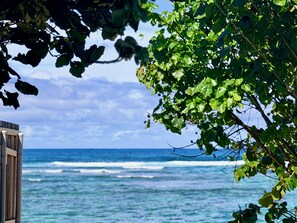 Botó d’imatge sense classificar, 4 de 19