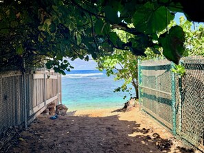 Luokittelematon kuva, 4 kautta 20, painike